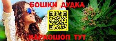 индика Ливны