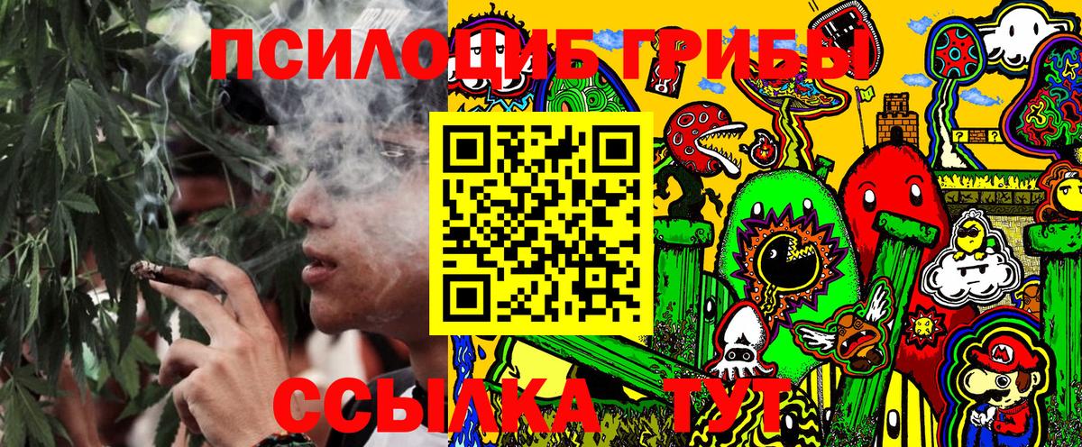 Тобольск  Псилоцибиновые грибы мицелий  наркошоп  Вход с VPN 