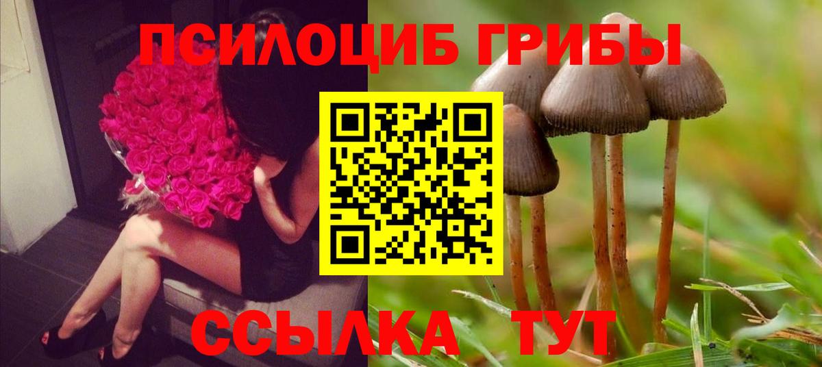 Галлюциногенные грибы GOLDEN TEACHER Тобольск