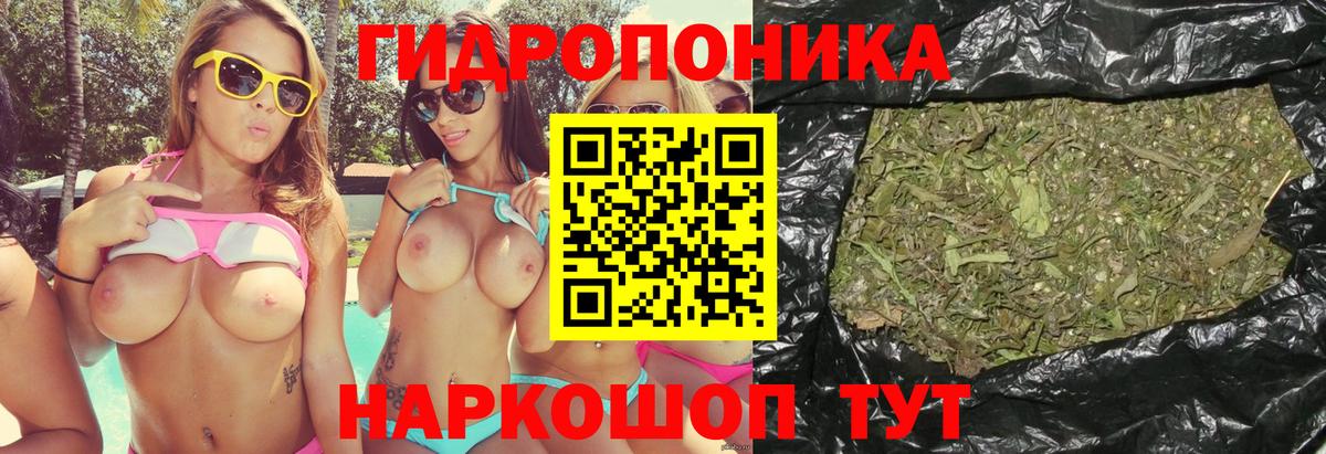 Бошки марихуана сатива Тобольск